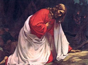 5603034018_7e60c3db6c_o